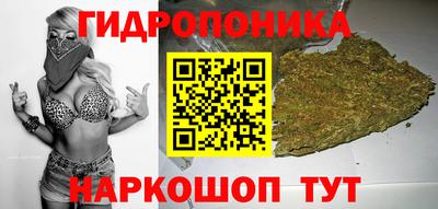 спайс Будённовск