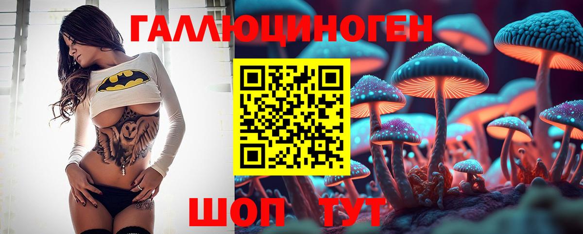 Королёв  Галлюциногенные грибы Psilocybe  Вход с VPN 