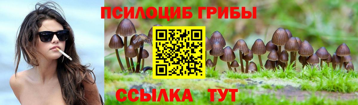 Галлюциногенные грибы Psilocybine cubensis Королёв